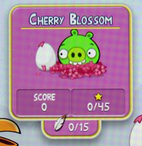 Angry Birds - ✿✿✿Angry Birds и Любование Сакурой+возможность поиграть в Cherry Blossom на японском сайте!!!✿✿✿